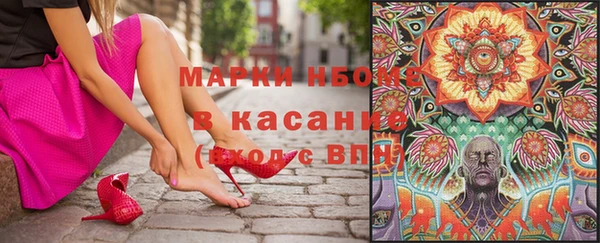 трава Арсеньев