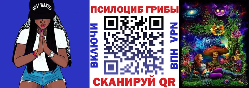 Псилоцибиновые грибы Cubensis  Купить закладки  Данков 
